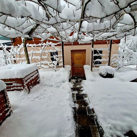 Vineyard Cottage Matej Trebnje Екстериор снимка