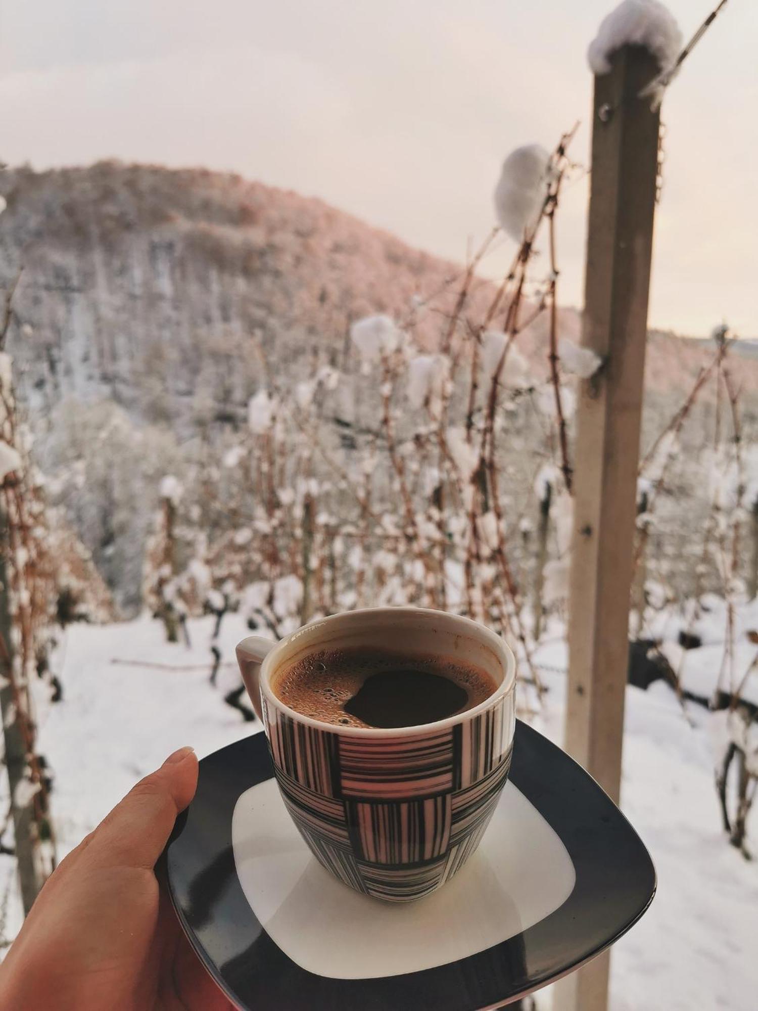 Vineyard Cottage Matej Trebnje Екстериор снимка