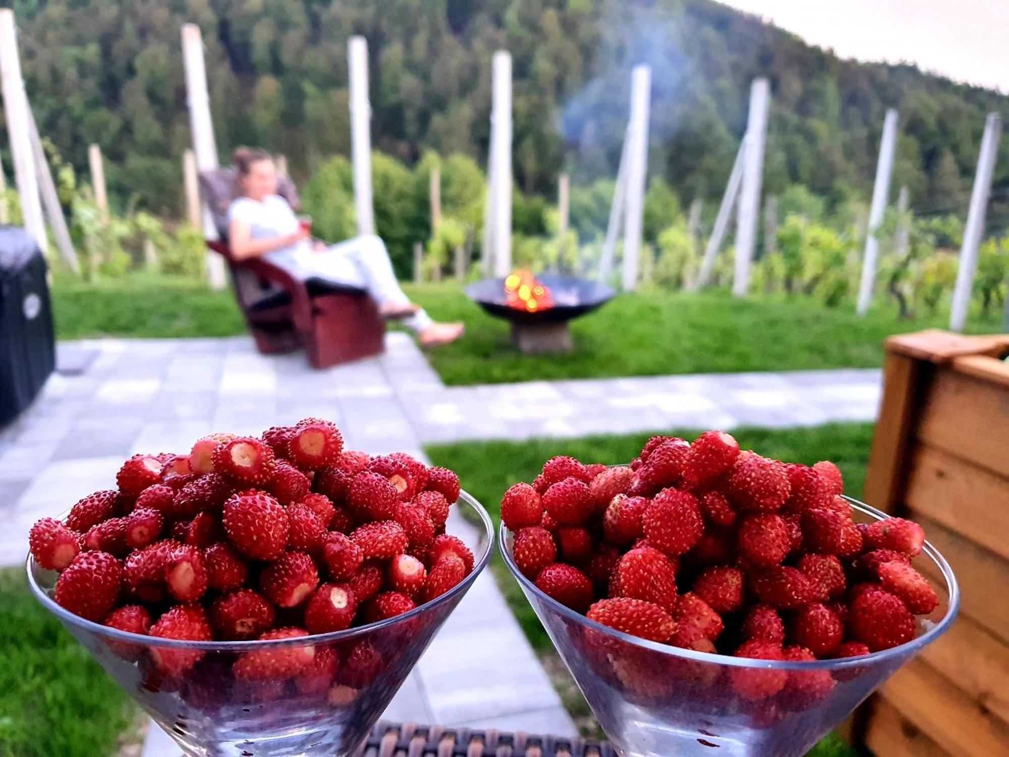 Vineyard Cottage Matej Trebnje Екстериор снимка