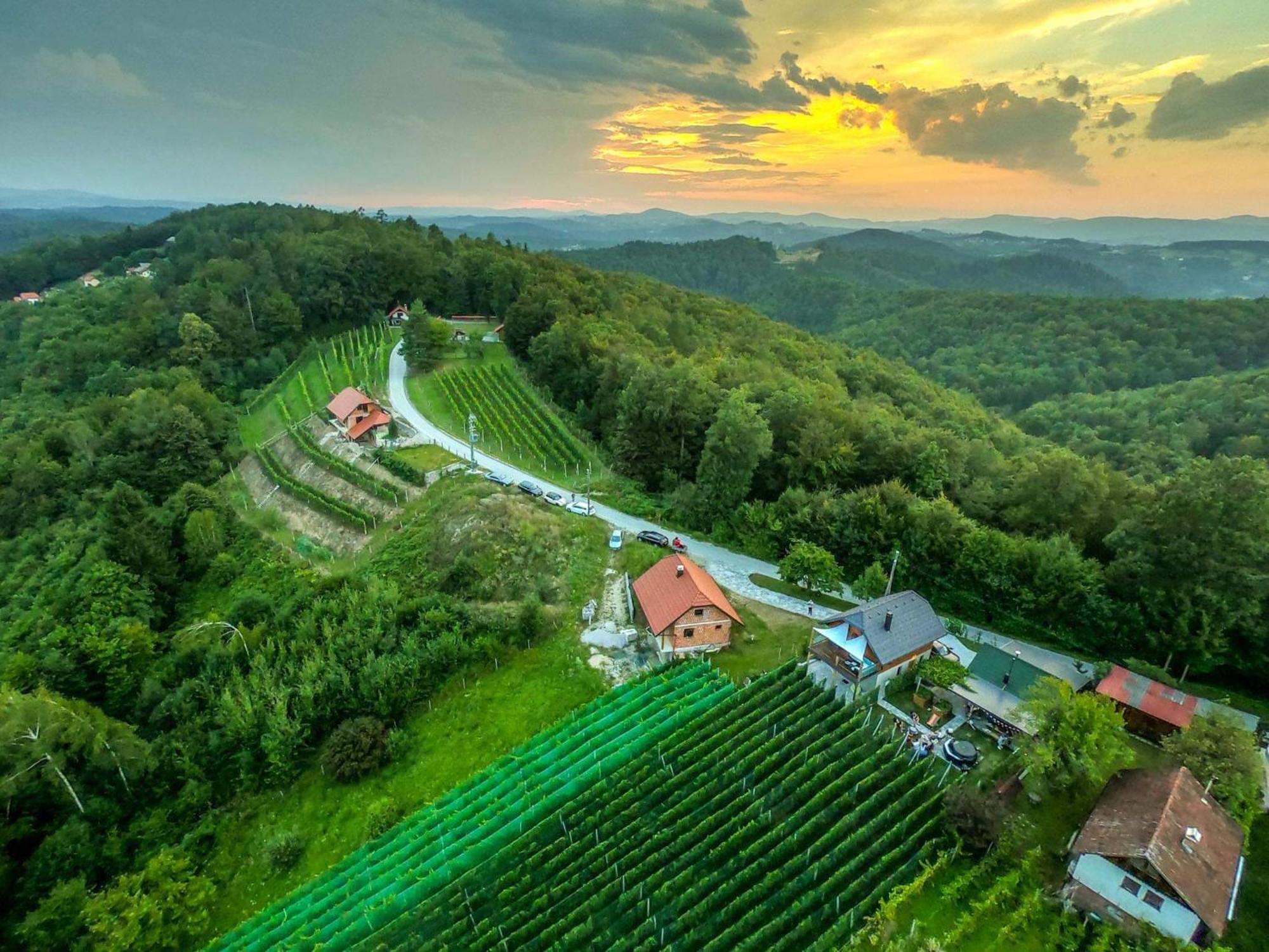 Vineyard Cottage Matej Trebnje Екстериор снимка