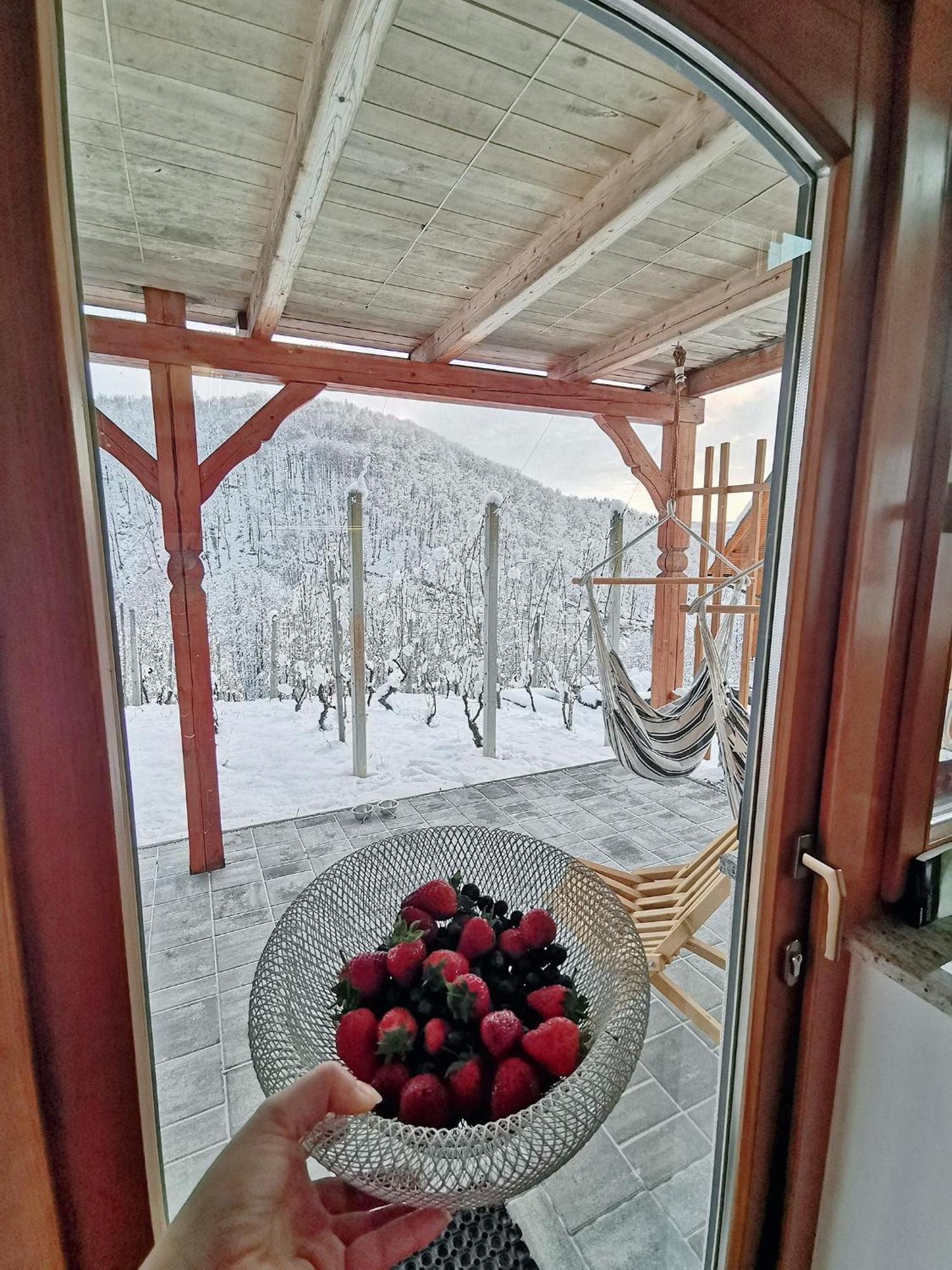 Vineyard Cottage Matej Trebnje Екстериор снимка
